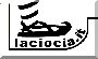 Home page www.laciocia.it 